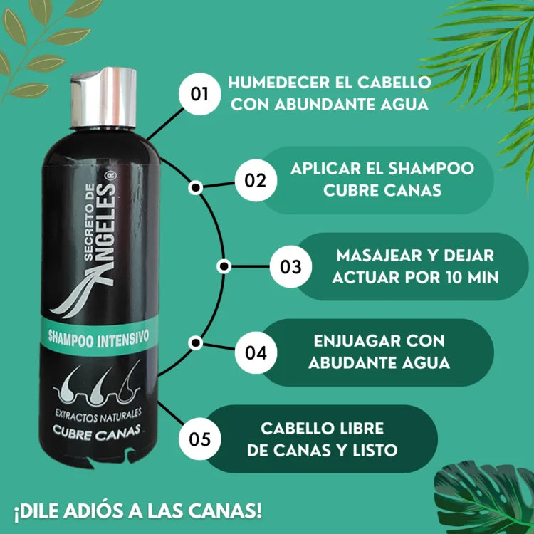 SHAMPOO CUBRE CANAS UNISEX